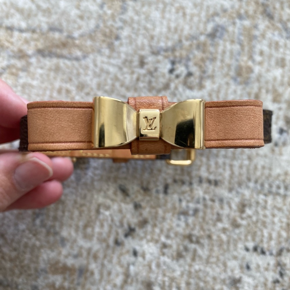 Louis Vuitton Baxter dog collar. XS.